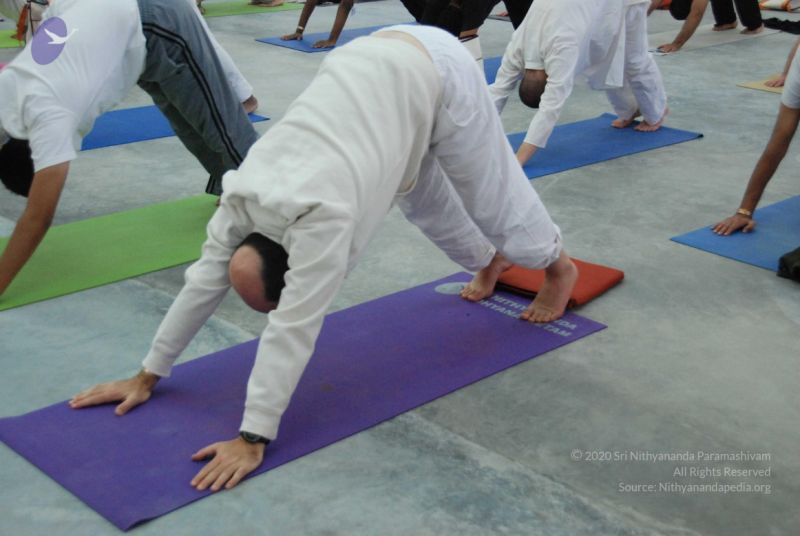 File:20091214 DSC 7423 CMP WM-09001.jpg