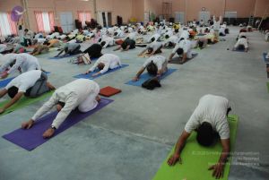 20091214 DSC 7426 CMP WM-12001.jpg