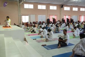 20091214 DSC 7436 CMP WM-18001.jpg