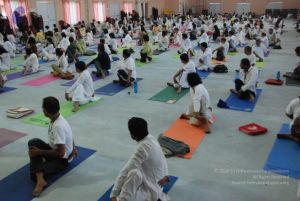 20091214 DSC 7439 CMP WM-21001.jpg