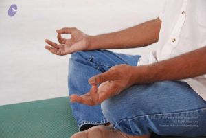 20091214 DSC 7488 CMP WM-45001.jpg