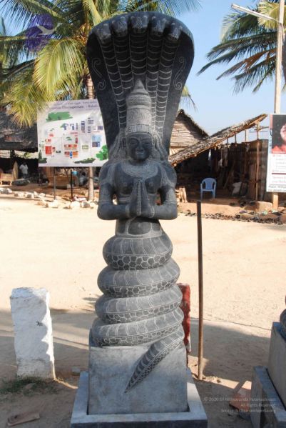 File:20091214 DSC 7527 CMP WM-03001.jpg