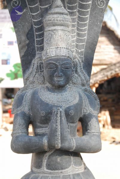 File:20091214 DSC 7528 CMP WM-06001.jpg