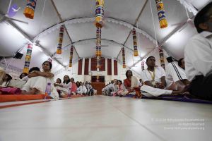 20091214 IMG 1916 CMP WM-49001.jpg