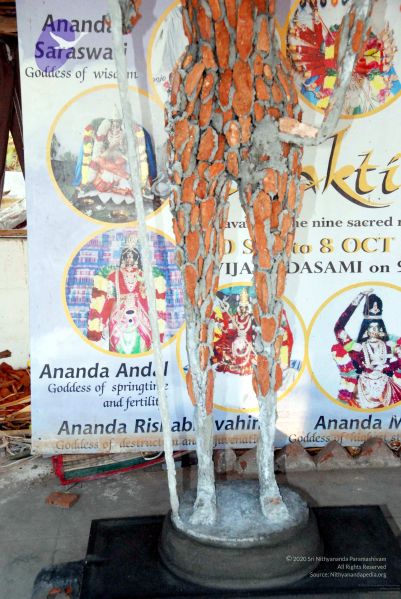 File:20091215DSC 7785 CMP WM001.jpg