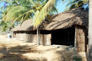 20091215DSC 7878 CMP WM001.jpg