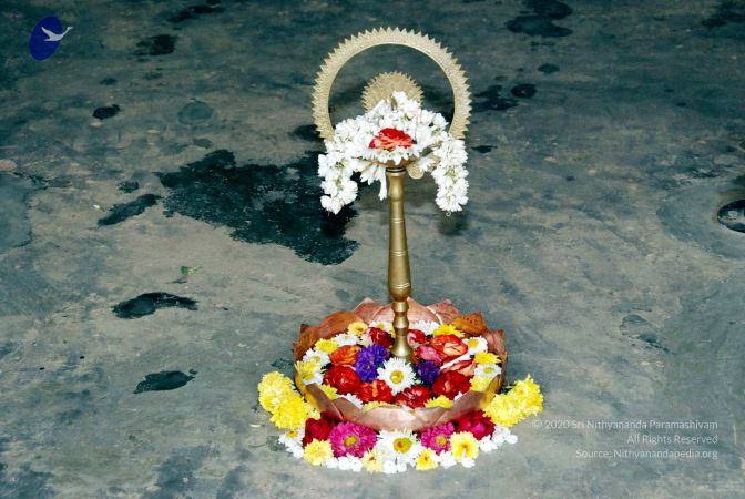 20091215DSC 7981 CMP WM001.jpg