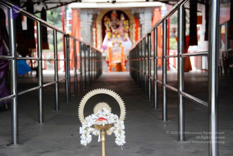 File:20091215DSC 7983 CMP WM001.jpg