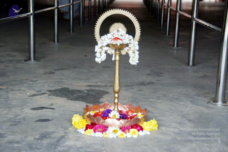 File:20091215DSC 7984 CMP WM001.jpg