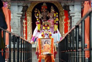 20091215DSC 7985 CMP WM001.jpg