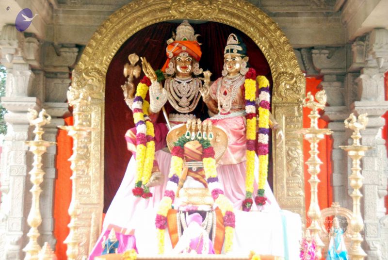 File:20091215DSC 7998 CMP WM001.jpg