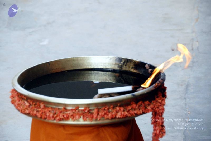 File:20091215DSC 8000 CMP WM001.jpg