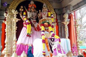 20091215DSC 8006 CMP WM001.jpg