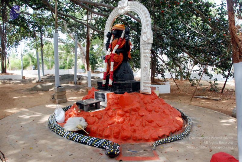 File:20091215DSC 8026 CMP WM001.jpg