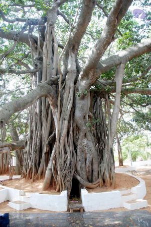 20091215DSC 8028 CMP WM001.jpg