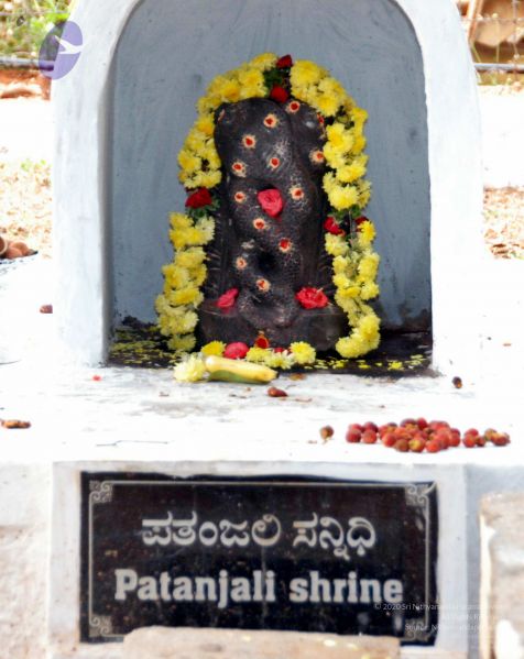 File:20091215DSC 8037 CMP WM001.jpg