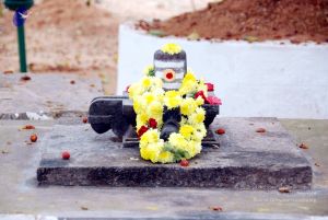 20091215DSC 8043 CMP WM001.jpg