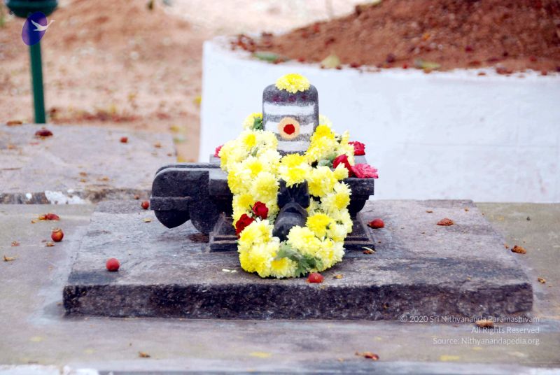 File:20091215DSC 8043 CMP WM001.jpg