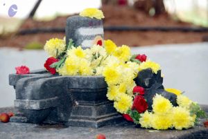 20091215DSC 8046 CMP WM001.jpg