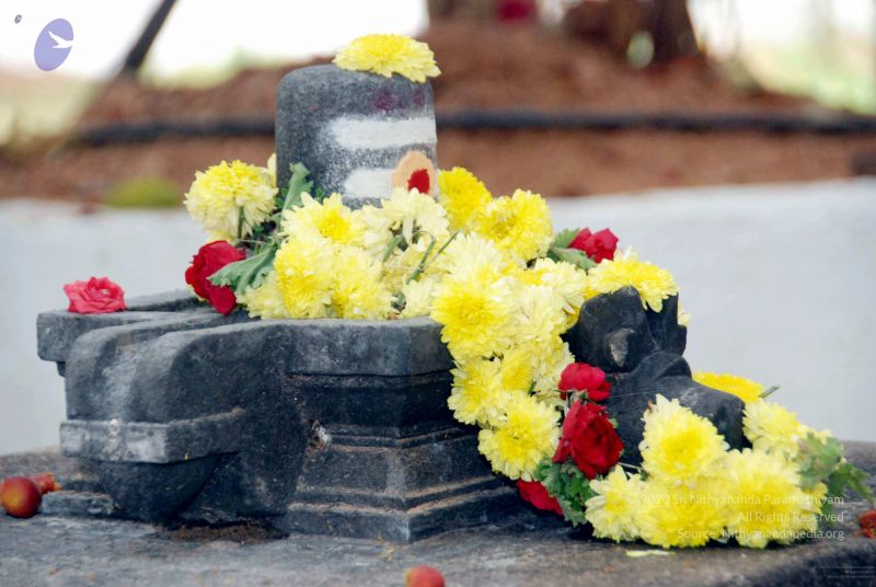 File:20091215DSC 8046 CMP WM001.jpg