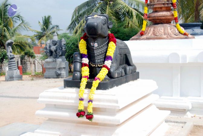 20091215DSC 8048 CMP WM001.jpg