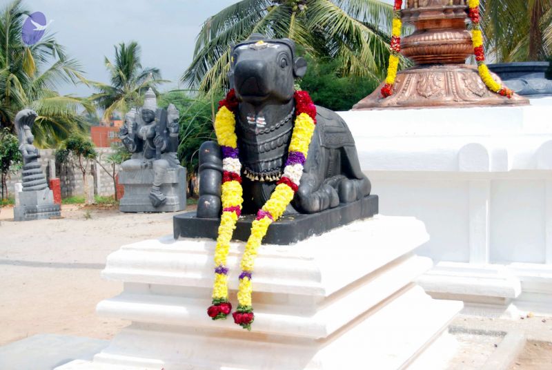 File:20091215DSC 8048 CMP WM001.jpg