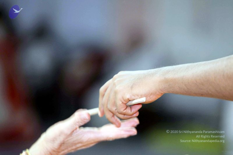 File:20091215IMG 2419 CMP WM001.jpg