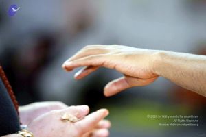 20091215IMG 2425 CMP WM001.jpg