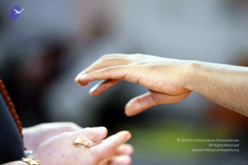 File:20091215IMG 2425 CMP WM001.jpg