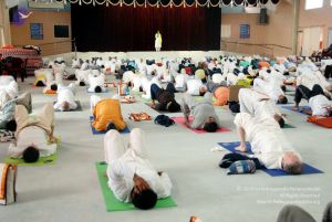 20091216DSC 8187 CMP WM001.jpg