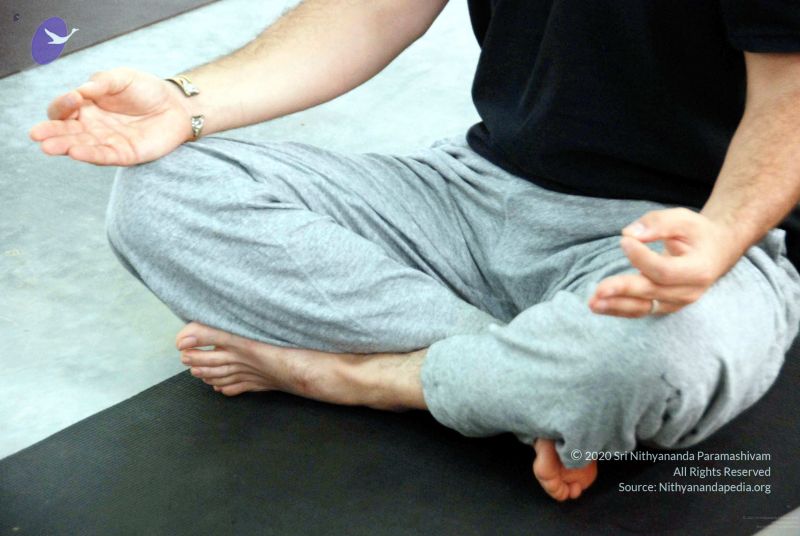 File:20091216DSC 8198 CMP WM001.jpg