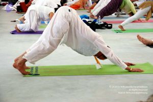 20091216DSC 8200 CMP WM001.jpg