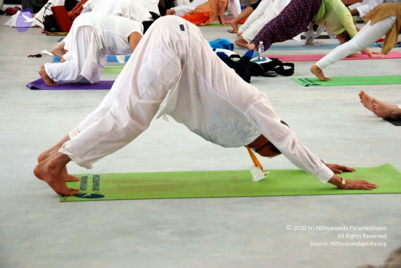 File:20091216DSC 8200 CMP WM001.jpg