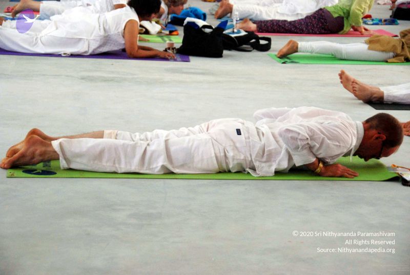 File:20091216DSC 8203 CMP WM001.jpg