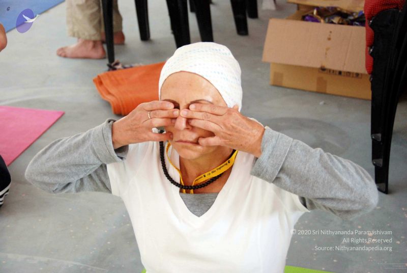 File:20091216DSC 8212 CMP WM001.jpg