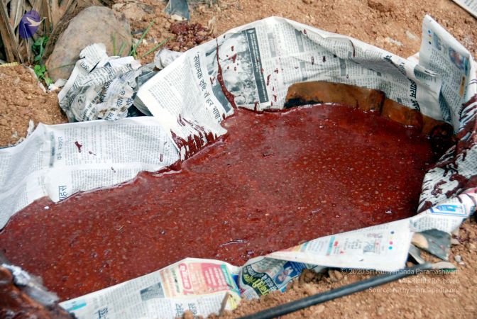 20091216DSC 8248 CMP WM001.jpg