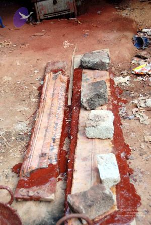 20091216DSC 8249 CMP WM001.jpg