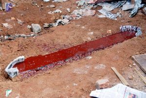 20091216DSC 8250 CMP WM001.jpg