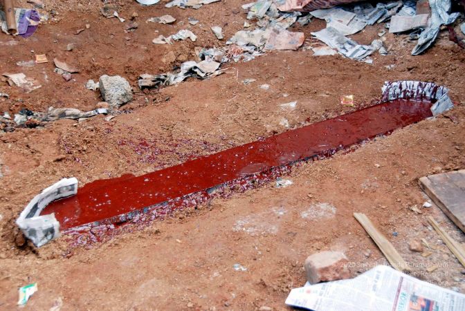 20091216DSC 8250 CMP WM001.jpg