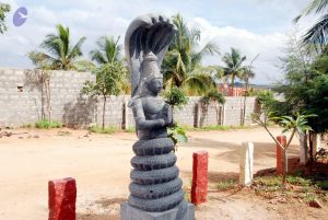 20091216DSC 8352 CMP WM001.jpg