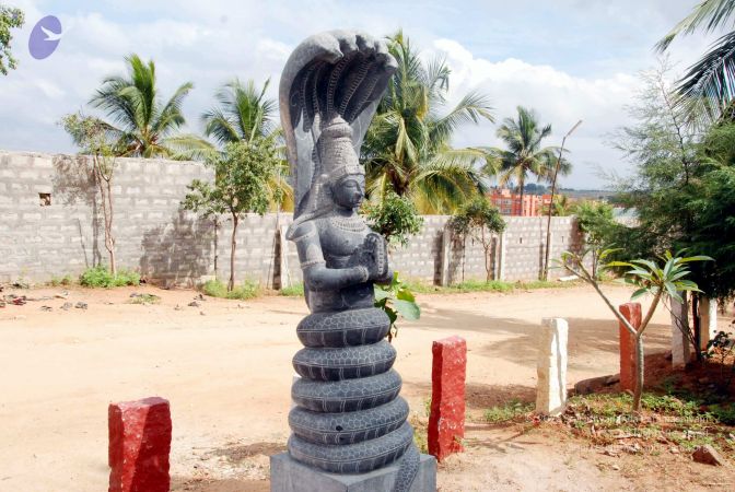 20091216DSC 8352 CMP WM001.jpg