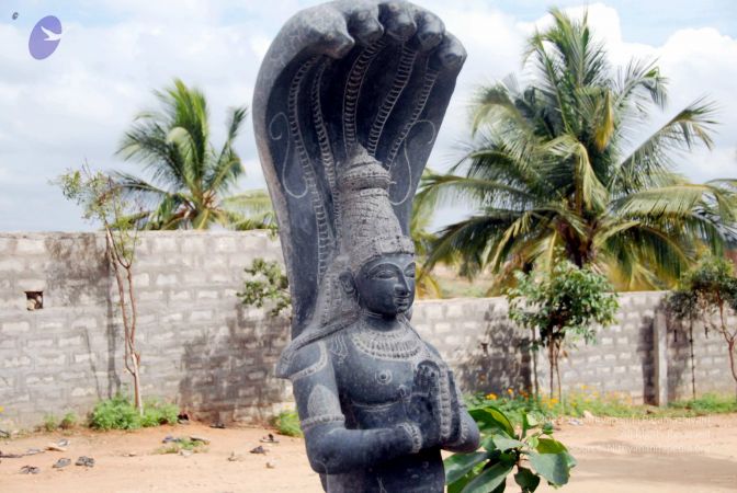 20091216DSC 8354 CMP WM001.jpg