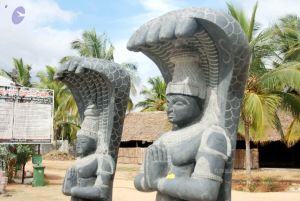 20091216DSC 8355 CMP WM001.jpg