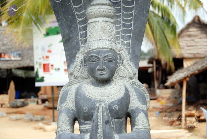 20091216DSC 8361 CMP WM001.jpg