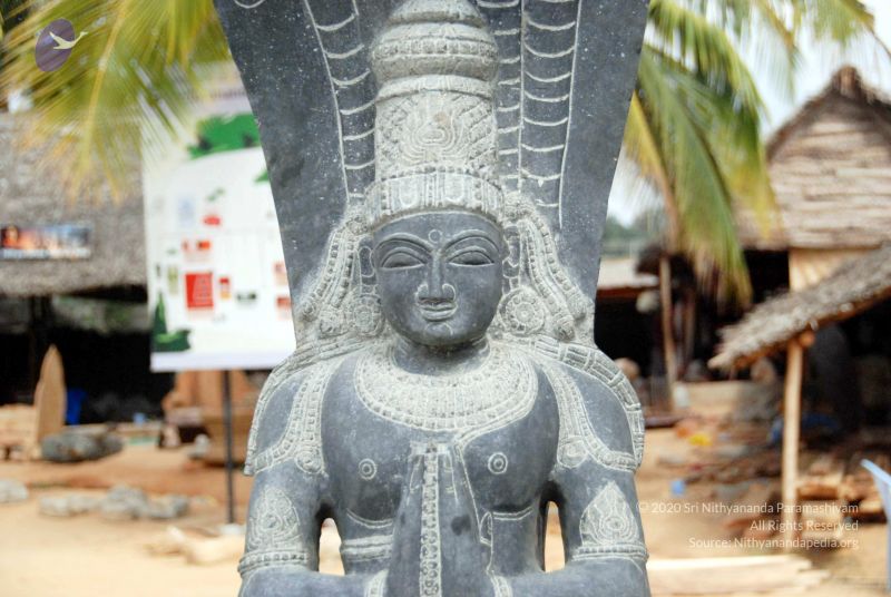 File:20091216DSC 8361 CMP WM001.jpg