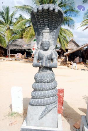 20091216DSC 8362 CMP WM001.jpg