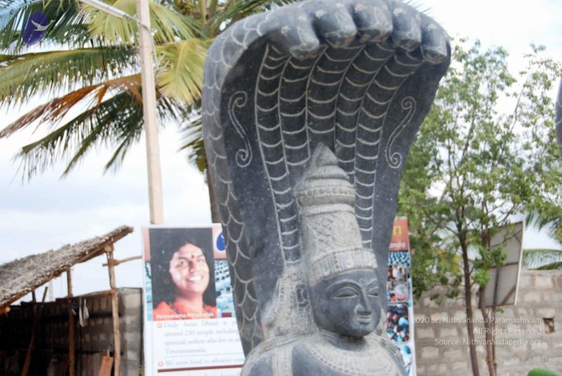 File:20091216DSC 8363 CMP WM001.jpg