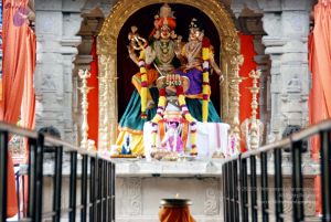 20091216DSC 8371 CMP WM001.jpg