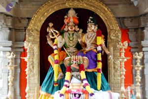 20091216DSC 8390 CMP WM001.jpg