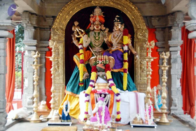 20091216DSC 8391 CMP WM001.jpg